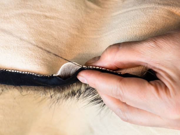 Изображение удалено.